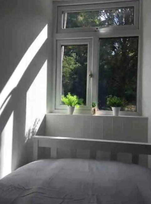 A Woodland Retreat - Apartment In Converted Mill Helston Buitenkant foto